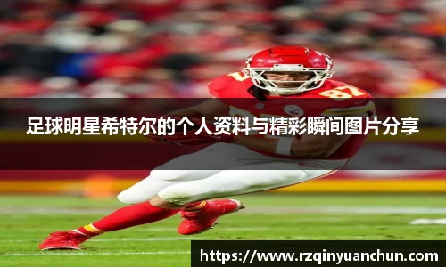 足球明星希特尔的个人资料与精彩瞬间图片分享